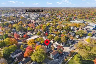 223 N Ellsworth St, Naperville, IL 60540 - Photo 38