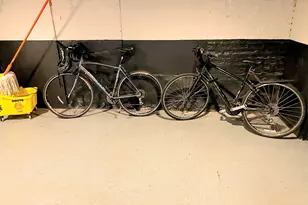 1848 S Paulina St, Chicago, IL 60608 - Photo 12