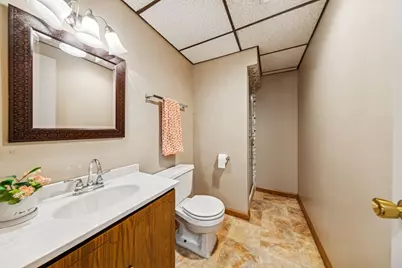 5873 Walnut Avenue, Downers Grove, IL 60516 - Photo 34