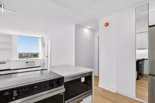 1455 N Sandburg Terrace, Chicago, IL 60610 - Photo 16