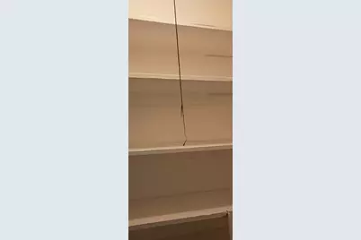 6841 S Prairie Avenue #1, Chicago, IL 60637 - Photo 8