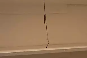 6841 S Prairie Ave, Chicago, IL 60637 - Photo 8