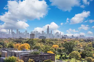 1641 N Kedzie Ave, Chicago, IL 60647 - Photo 30