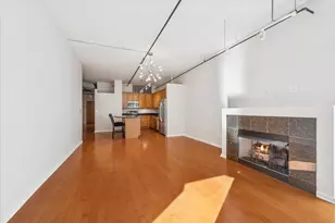 520 S State St, Chicago, IL 60605 - Photo 10