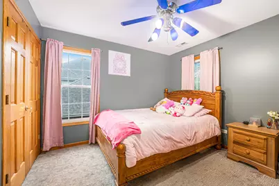 257 Pine Street, Beecher, IL 60401 - Photo 18