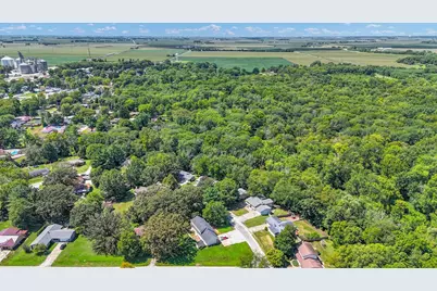 10 Dunlap Woods, Sidney, IL 61877 - Photo 36