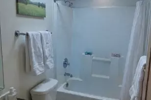 746 Michelle Dr, Lynwood, IL 60411 - Photo 22