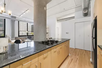 130 S Canal Street #217, Chicago, IL 60606 - Photo 12