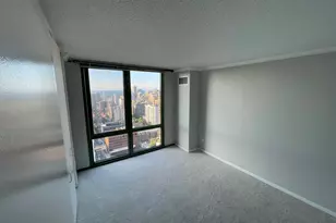 111 W Maple St, Chicago, IL 60610 - Photo 24