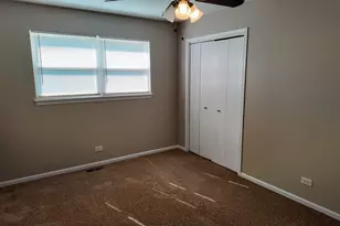 25601 S Linden Ave, Monee, IL 60449 - Photo 22