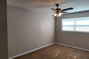 25601 S Linden Ave, Monee, IL 60449 - Photo 12