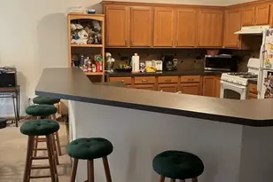 19246 104th Ave, Mokena, IL 60448 - Photo 22