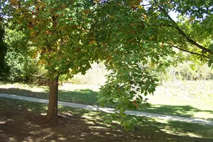 4302 Shamrock Ln, McHenry, IL 60050 - Photo 12