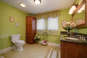 11226 Hiawatha Ln, Indian Head Park, IL 60525 - Photo 22