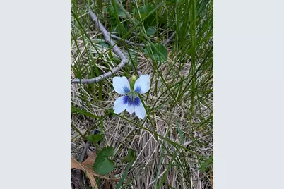 3349 Mill Road, Cherry Valley, IL 61016 - Photo 32