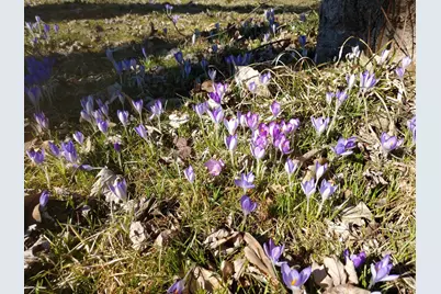 3349 Mill Road, Cherry Valley, IL 61016 - Photo 20