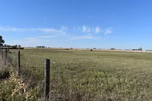 9898 E 1200 N Rd, Chenoa, IL 61726 - Photo 46