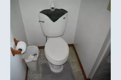 9898 E 1200 North Road, Chenoa, IL 61726 - Photo 18