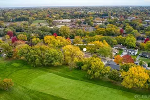 609 Bowling Green Ct, Naperville, IL 60563 - Photo 38