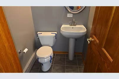 947 E 169th Street, South Holland, IL 60473 - Photo 10