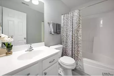 316 Gregory M Sears Drive, Gilberts, IL 60136 - Photo 22