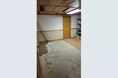 2502 E Vandrunen Drive, Crete, IL 60417 - Photo 54