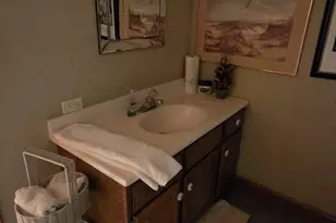 2502 E Vandrunen Dr, Crete, IL 60417 - Photo 42