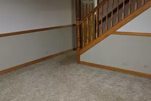 2502 E Vandrunen Dr, Crete, IL 60417 - Photo 46