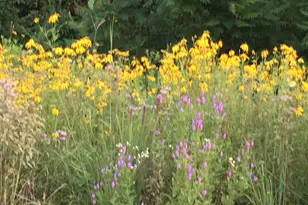 2972 Trillium Ct E, Aurora, IL 60506 - Photo 24