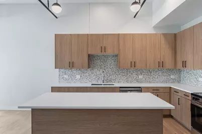 805 N Milwaukee Avenue #2S, Chicago, IL 60642 - Photo 2