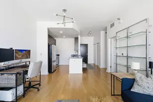 303 W Ohio St, Chicago, IL 60654 - Photo 10