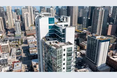 303 W Ohio Street #2201, Chicago, IL 60654 - Photo 18