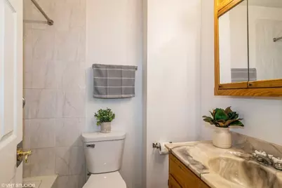 329 David Court #B, Bartlett, IL 60103 - Photo 8