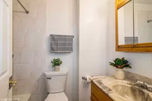 329 David Ct, Bartlett, IL 60103 - Photo 8