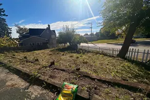 256 W Downer Pl, Aurora, IL 60506 - Photo 38