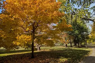 6734 N Campbell Ave, Chicago, IL 60645 - Photo 28