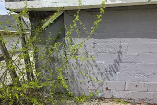 136 S 10th Ave, Maywood, IL 60153 - Photo 10