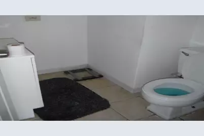 738 W 51st Street, Chicago, IL 60609 - Photo 8