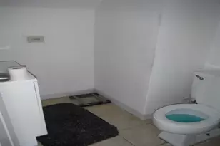 738 W 51st St, Chicago, IL 60609 - Photo 8