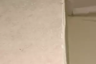 738 W 51st St, Chicago, IL 60609 - Photo 14