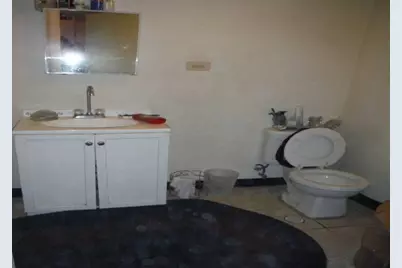 738 W 51st Street, Chicago, IL 60609 - Photo 10