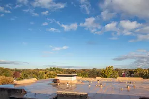 314 Lathrop Ave, Forest Park, IL 60130 - Photo 12