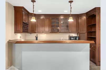 817 Lakeview Lane, Burr Ridge, IL 60527 - Photo 58