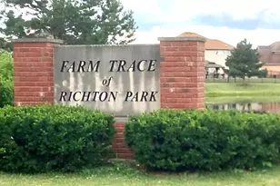 3831 Patricia Ln, Richton Park, IL 60471 - Photo 12