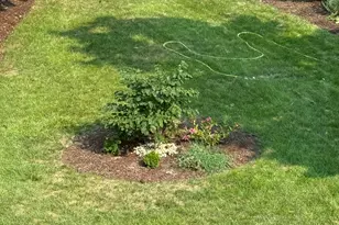 133 S Walkup Ave, Crystal Lake, IL 60014 - Photo 20