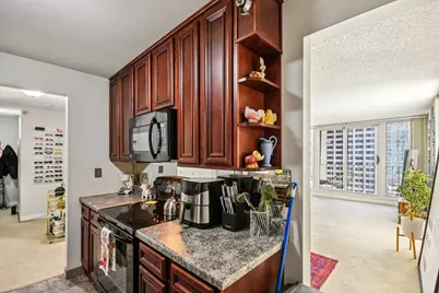 200 N Dearborn Street #1303, Chicago, IL 60601 - Photo 12