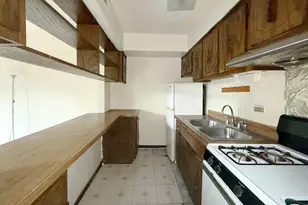 349 W 26th St, Chicago, IL 60616 - Photo 20
