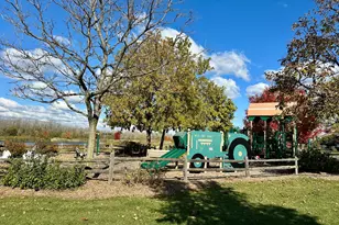 1242 Prairie View Pkwy, Cary, IL 60013 - Photo 36