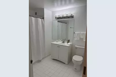 2 E Erie Street #2204, Chicago, IL 60611 - Photo 8