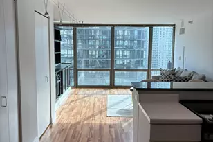 2 E Erie St, Chicago, IL 60611 - Photo 10